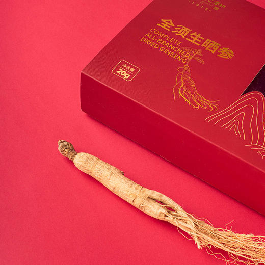 张太和全须生晒参 整枝年份足礼品健康煲汤煮粥泡酒5年全须生晒参 商品图5