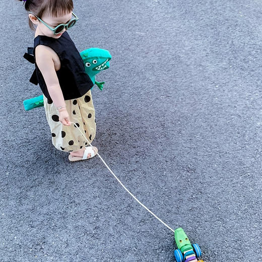 plan toys1416彩虹鳄鱼 商品图2