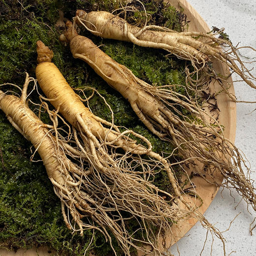 【进补好物】长白山鲜人参 15g/20g 商品图2