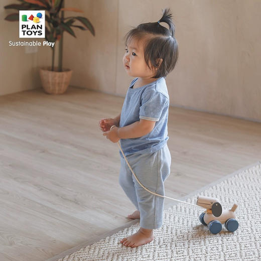 plan toys5724推拉狗狗 商品图2