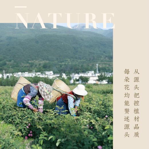 大马士革玫瑰面膜 植物纤维膜布可降解 5片/盒 商品图7