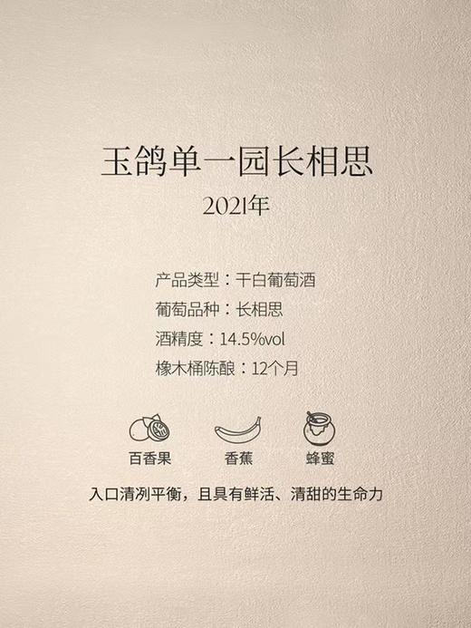 西鸽酒庄玉鸽单一园长相思干白葡萄酒宁夏贺兰山东麓葡萄酒正装 商品图1
