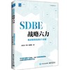 SDBE战略六力 将战略做实的6个关键 商品缩略图0