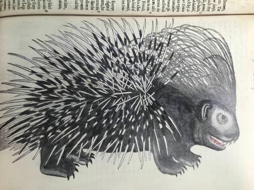 探索福尔杰莎士比亚图书馆 约百幅彩色插图 精装16开 商品图13