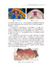 口内数字印模技术 口腔美学修复实用教程 刘峰 余涛 临床口内数字印模技术操作流程及技巧 口腔科学 人民卫生出版社9787117350648 商品缩略图3