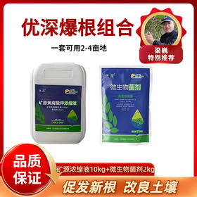 优深爆根组合  矿源黄腐酸钾浓缩型+微生物菌剂   粗发根系改良土壤