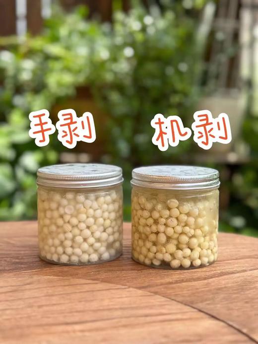 不时不食，过时不候，一期一会丨苏州南塘纯手剥新鲜鸡头米丨“水中人参”香甜弹糯 商品图1