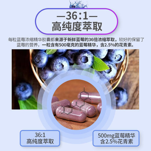 【跨境】Webber Naturals伟博天然蓝莓高倍浓缩精华胶囊呵护双眼120粒(SKU 3820) 商品图3