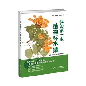 我的第一本植物标本集青少年科学蒲公英工作室编著 植物 标本制作青少年读物