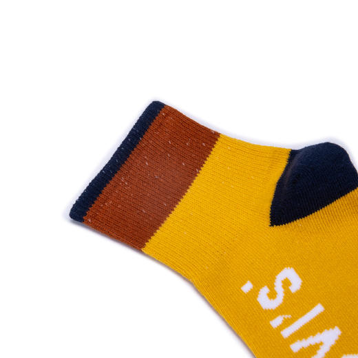 LEVIS 秋 大童小童 儿童童袜 LHB-2Q-0344 商品图3
