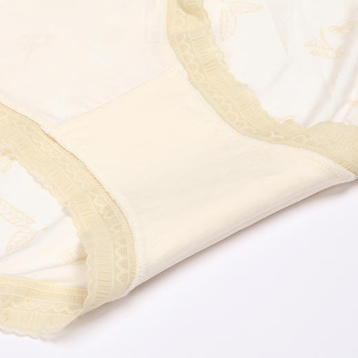 都市丽人健康系列莫代尔木代尔系列中腰平角女士内裤LK35K9 商品图8