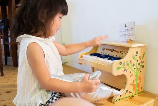 DJECO曼波音乐电子钢琴两款 商品图6