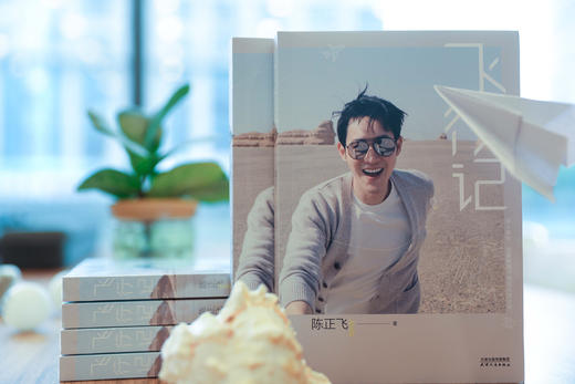 飞行记 陈正飞 商品图2