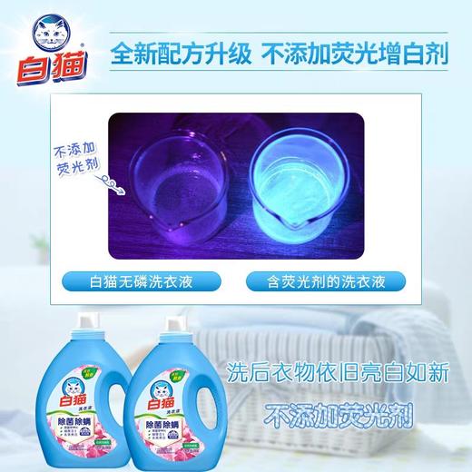 白猫除菌除螨无磷洗衣液 1kg/瓶 商品图2