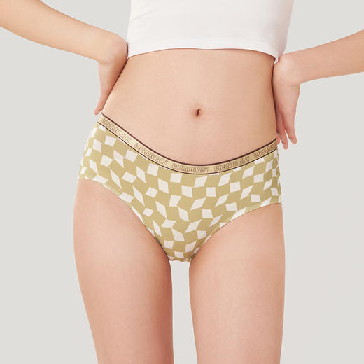 都市丽人健康系列锦泳薄透丝滑低腰平角女士内裤LK35E2 商品图0