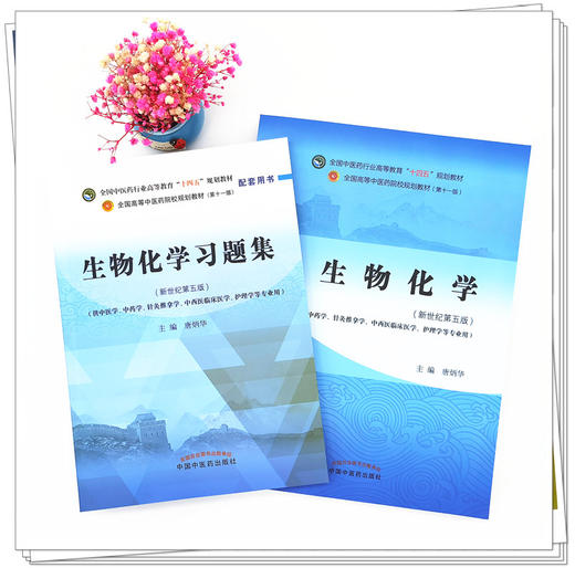 套装2本 生物化学+生物化学习题集 十四五规划教材 配套用书 第十一版 新世纪第5五版 唐炳华 编 书籍 中国中医药出版社 商品图2