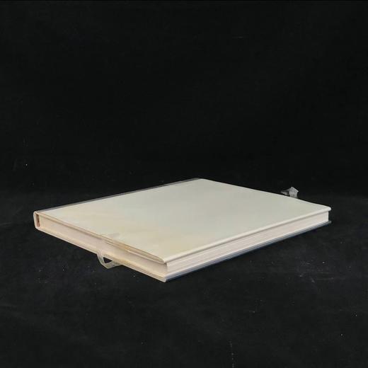 油画史：从凡·艾克到罗斯科（馆藏） 86幅彩色38幅黑白插图 精装大16开 商品图2