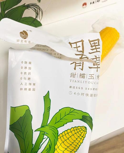 【田里有草•甜糯玉米】礼盒装200g*12根~🌽 真空包装，非转基因，甜而不腻，糯而不粘，口感独特，每一颗都带着自然的甜香，营养丰富，富含膳食纤维，是健康饮食的理想选择。 商品图11