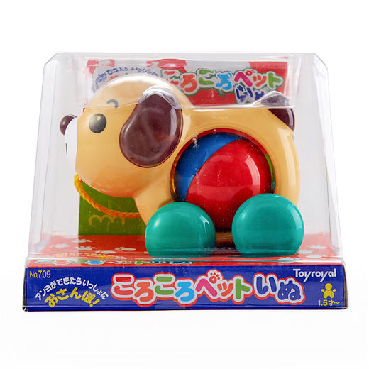 皇室手拉小狗-TR709（1.5岁及以上） 商品图3