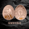 【新发行】2023年亚洲恐龙系列异形精制铜币（9-12组） 商品缩略图3