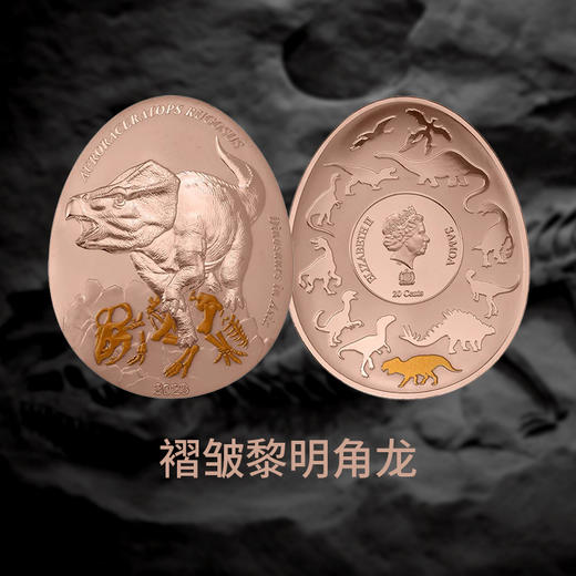 【新发行】2023年亚洲恐龙系列异形精制铜币（9-12组） 商品图3