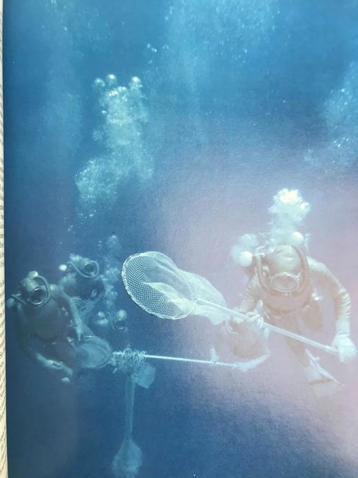 探索深海 400幅插图 精装大16开 商品图14