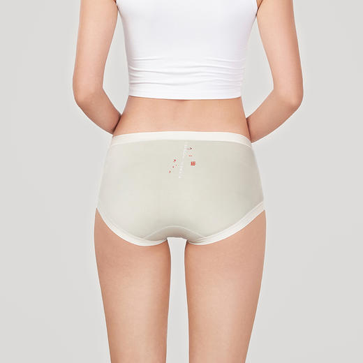 都市丽人时尚系列锦泳磨毛薄透丝滑中腰平角女士内裤LK35H7 商品图3