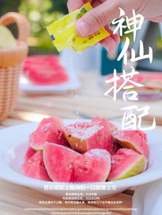 芭乐双拼！【红玫瑰芭乐/黄金奶油芭乐】 软糯番石榴 现摘现发 果肉柔滑，软糯香甜 一吃就上瘾！72小时发货～ 商品图2