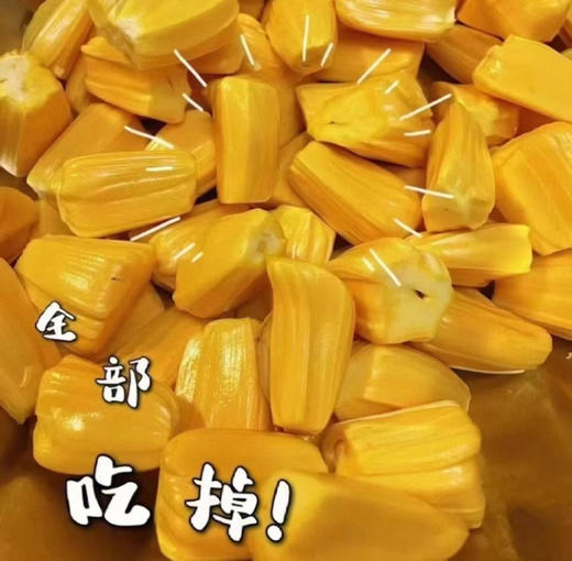 热带水果，皇后红肉，菠萝蜜驾到，一家人享受一起包菠萝蜜的幸福吧。菠萝蜜不仅甜，还带有浓浓的奶香味，补血益气，增强免疫力，营养价值极高，自己包更健康，更卫生，更香甜，更实惠！8-10斤/个 商品图0