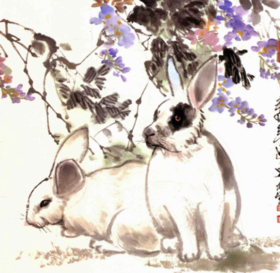  【国画教程】写意《双兔》画法步骤 