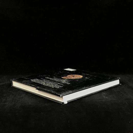 化石：物种的进化与灭绝 160幅彩色插图 精装大16开 商品图2