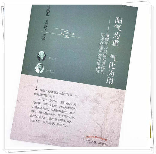 阳气为重 气化为用 雒晓东六经体系讲稿及李可六经学术思想探讨 商品图4