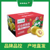 百果园 红心猕猴桃12粒装（特大果，单果90g-110g） 商品缩略图6