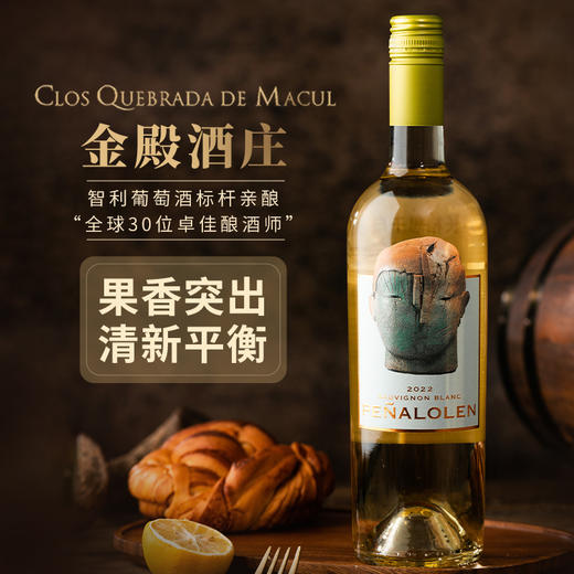 【连续6年帕克评分95+】佩络长相思干白葡萄酒 智利卡萨布兰卡产区 13%vol 商品图10