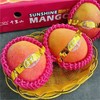 千里山彩澳芒果 |进口水果 商品缩略图1
