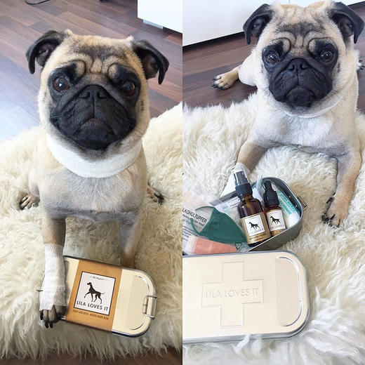 德国里拉爱它 LILA LOVES IT急救乳膏30ml 商品图1