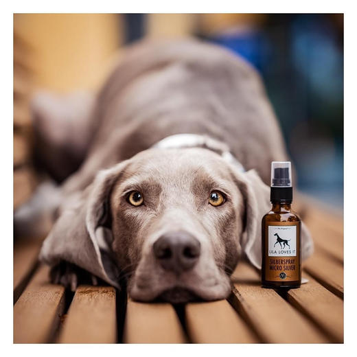 德国 里拉爱它 LILA LOVES IT微银喷雾50ml 商品图4