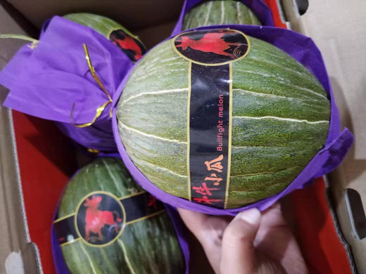 周六配送！我很丑但我甜，斗牛小瓜来啦
源自西班牙，纯正的贵族”血统”我有丑萌的外观也有丰富的口感，属于那种软糯的，没有渣，没有那种颗粒感，而且细细品的话，它有那种淡淡的牛奶的香味！一组1颗，约3.5斤 商品图1