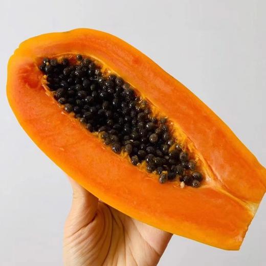 【产地直发】木瓜 | 多规格可选 商品图2