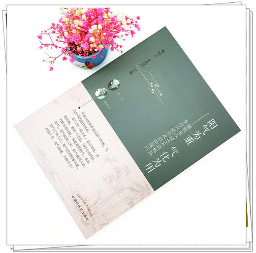 阳气为重 气化为用 雒晓东六经体系讲稿及李可六经学术思想探讨 商品图2