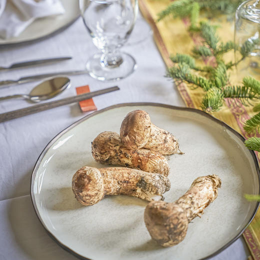 音昱x松赞松茸（多规格可选） 商品图3