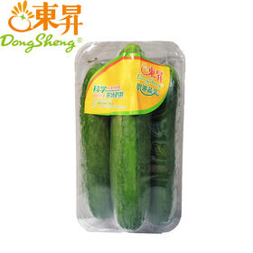 【超市】东升小青瓜