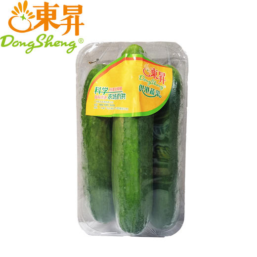 【超市】东升小青瓜 商品图0