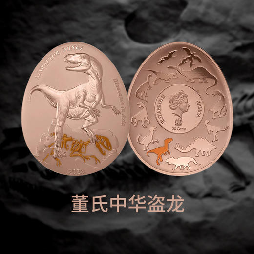 【新发行】2023年亚洲恐龙系列异形精制铜币（9-12组） 商品图2