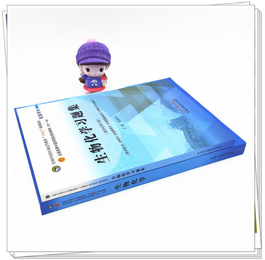 套装2本 生物化学+生物化学习题集 十四五规划教材 配套用书 第十一版 新世纪第5五版 唐炳华 编 书籍 中国中医药出版社 商品图3