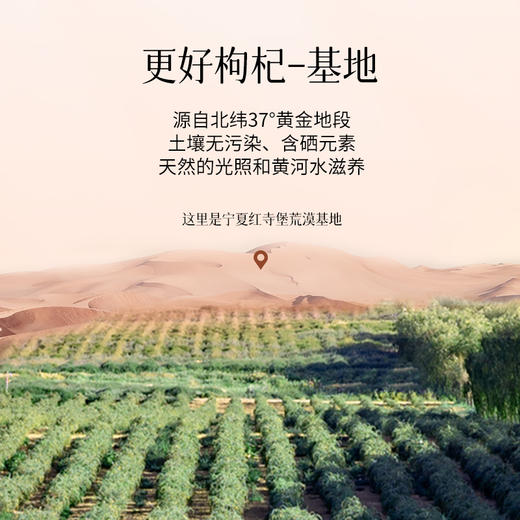 400ml红枸杞原浆 商品图3