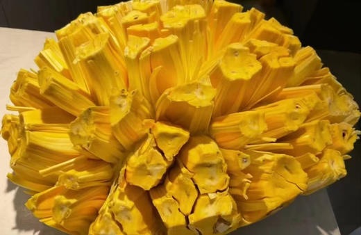 热带水果，皇后红肉，菠萝蜜驾到，一家人享受一起包菠萝蜜的幸福吧。菠萝蜜不仅甜，还带有浓浓的奶香味，补血益气，增强免疫力，营养价值极高，自己包更健康，更卫生，更香甜，更实惠！8-10斤/个 商品图1