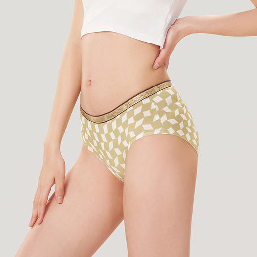都市丽人健康系列锦泳薄透丝滑低腰平角女士内裤LK35E2 商品图1