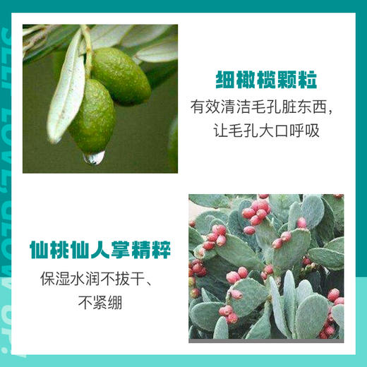MZ迷之莫吉托泥膜 商品图3