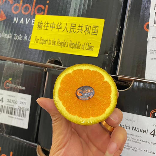 澳洲巧克力橙天花板橙又名棕橙🍊清香扑鼻、香味独特, 沁脾养胃、甜度较高,果肉多汁。这得益于棕褐色的外皮，比普通脐橙的水分糖分含量更高。🍊 商品图5